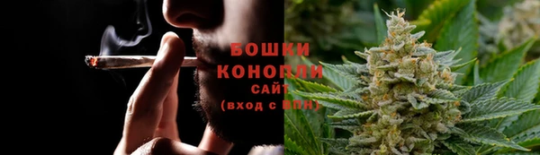 стаф Мегион