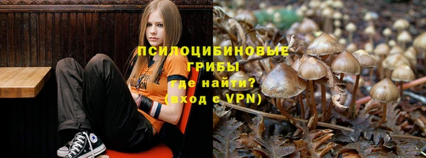 а пвп мука Алзамай