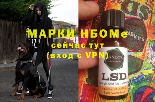 стаф Алексин