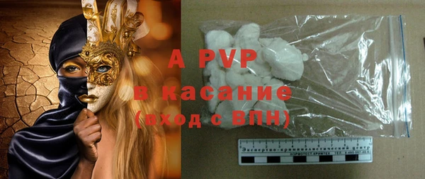 стаф Алексин