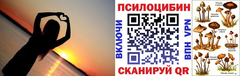 цены наркотик  Южно-Сухокумск  Галлюциногенные грибы GOLDEN TEACHER 